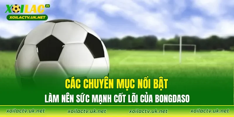 Các chuyên mục nổi bật làm nên sức mạnh cốt lõi của Bongdaso