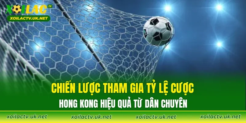Chiến lược tham gia tỷ lệ cược Hong Kong hiệu quả từ dân chuyên