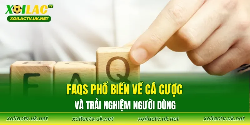 FAQs phổ biến về cá cược và trải nghiệm người dùng