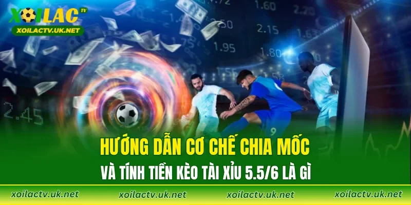 Hướng dẫn cơ chế chia mốc và tính tiền Kèo Tài Xỉu 5.5/6 là gì