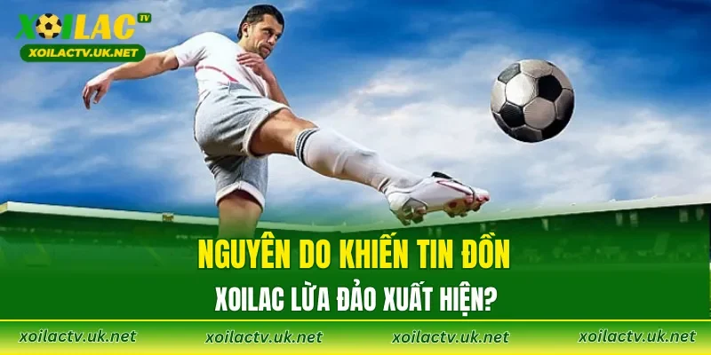 Nguyên do khiến tin đồn XOILAC lừa đảo xuất hiện?