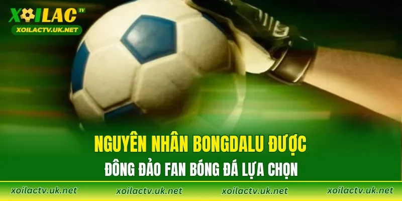 Nguyên nhân Bongdalu được đông đảo fan bóng đá lựa chọn