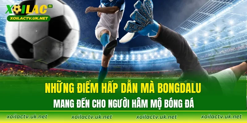 Những điểm hấp dẫn mà Bongdalu mang đến cho người hâm mộ bóng đá