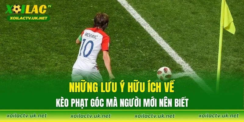 Những lưu ý hữu ích về kèo phạt góc mà người mới nên biết