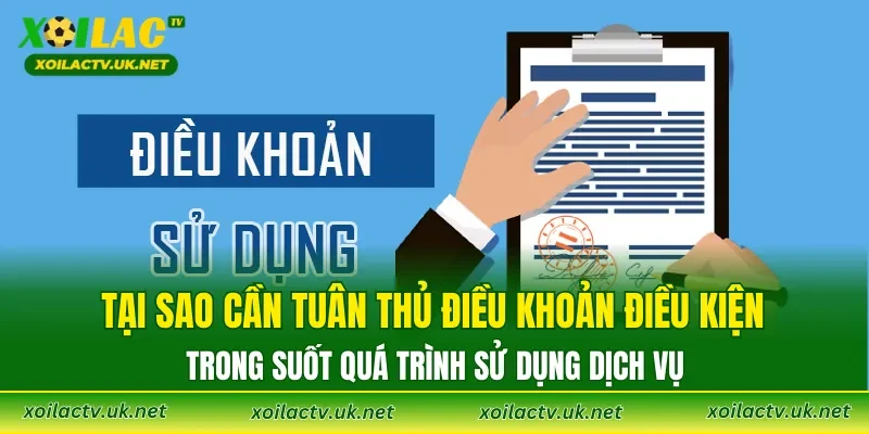 Tại sao cần tuân thủ điều khoản điều kiện trong suốt quá trình sử dụng dịch vụ