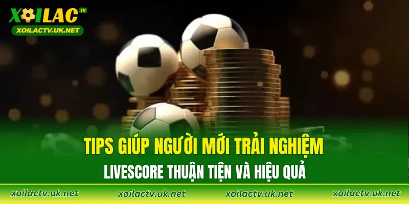 Tips giúp người mới trải nghiệm Livescore thuận tiện và hiệu quả